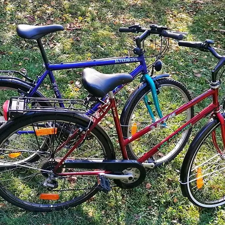 Kalandfeszek Dom wakacyjny *