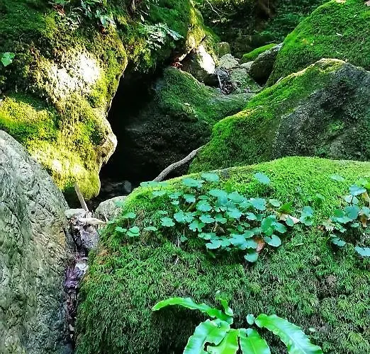 Case de vacanță Kalandfeszek